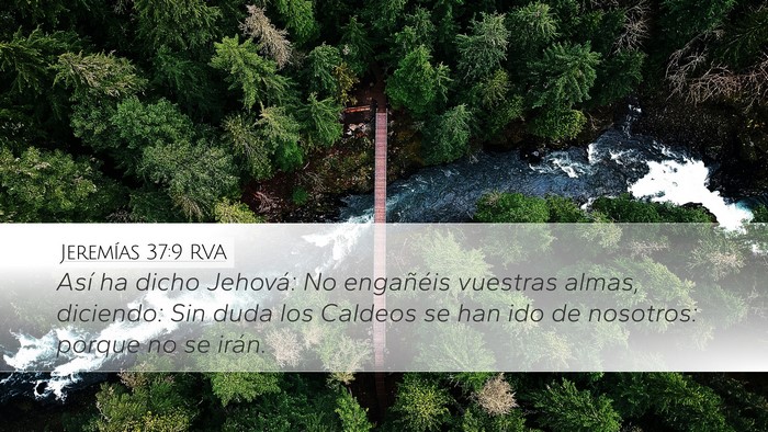 Jeremías 37:9 RVA Bible Verse Image