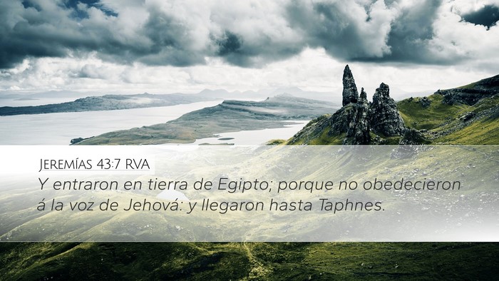 Jeremías 43:7 RVA Bible Verse Image