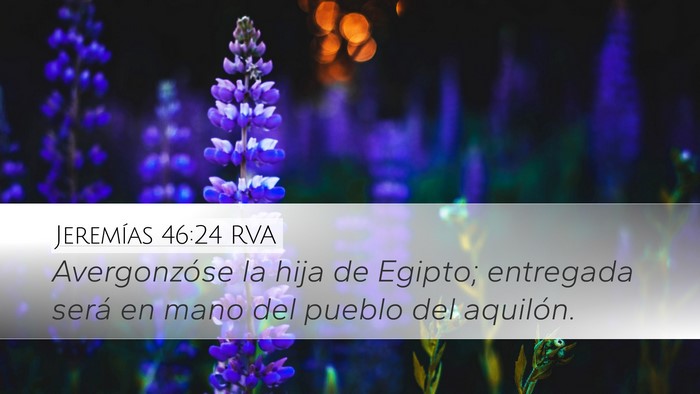 Jeremías 46:24 RVA Bible Verse Image