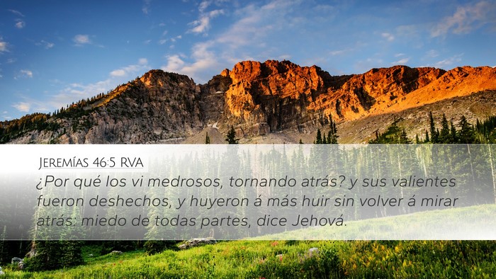 Jeremías 46:5 RVA Bible Verse Image