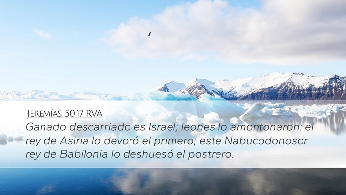 Jeremías 50:17 RVA Bible Verse Image