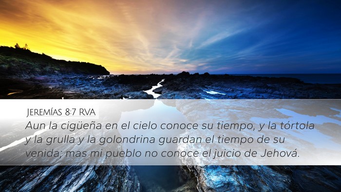 Jeremías 8:7 RVA Bible Verse Image