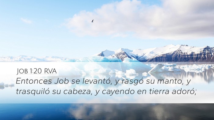 Job 1:20 RVA Bible Verse Image