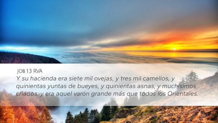 Job 1:3 RVA Bible Verse Image
