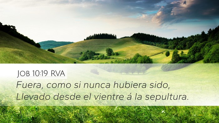 Job 10:19 RVA Desktop Wallpaper - Fuera, como si nunca hubiera sido, Llevado desde - Desktop Bible Verse Wallpaper