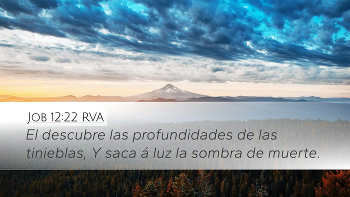 Job 12:22 RVA Bible Verse Image