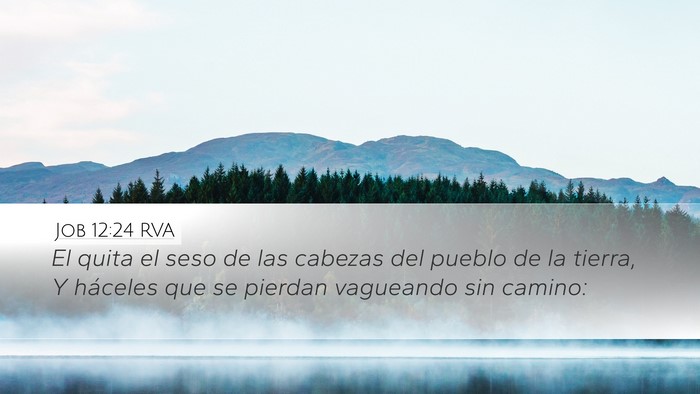 Job 12:24 RVA Bible Verse Image