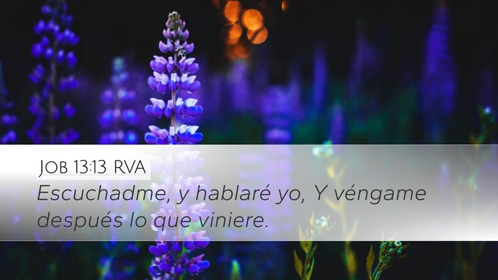 Job 13:13 RVA Bible Verse Image