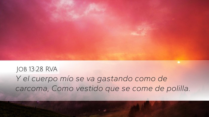 Job 13:28 RVA Bible Verse Image