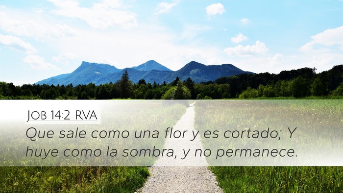 Job 14:2 RVA Bible Verse Image
