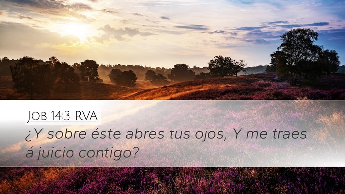 Job 14:3 RVA Bible Verse Image