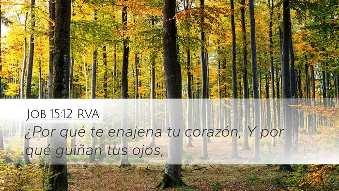 Job 15:12 RVA Bible Verse Image