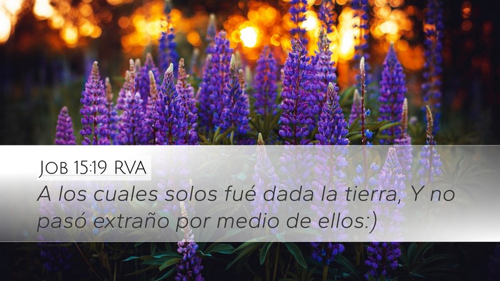 Job 15:19 RVA Desktop Wallpaper - A los cuales solos fué dada la tierra, Y no - Desktop Bible Verse Wallpaper
