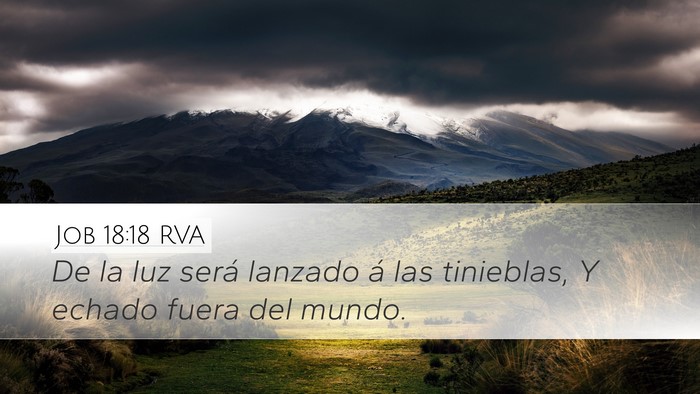 Job 18:18 RVA Bible Verse Image