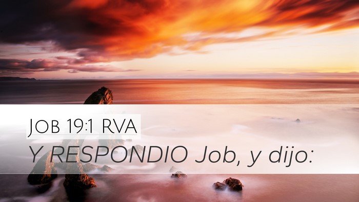 Job 19:1 RVA Desktop Wallpaper - Y RESPONDIO Job, y - Desktop Bible Verse Wallpaper