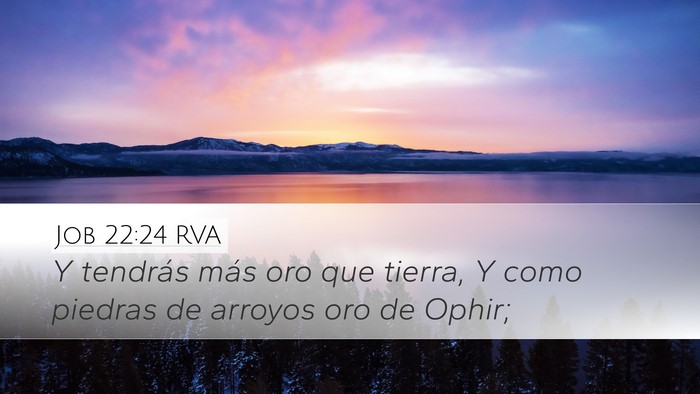 Job 22:24 RVA Bible Verse Image
