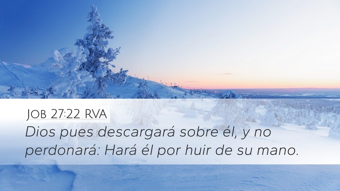 Job 27:22 RVA Bible Verse Image