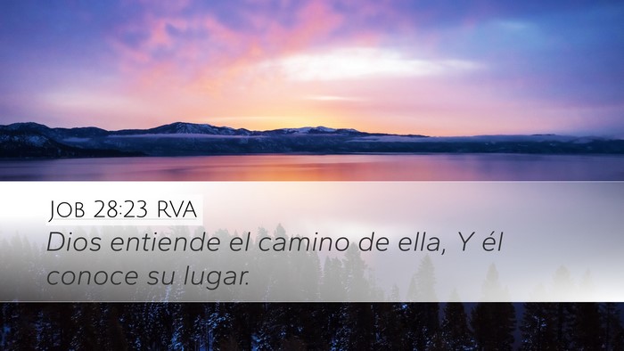 Job 28:23 RVA Desktop Wallpaper - Dios entiende el camino de ella, Y él conoce su - Desktop Bible Verse Wallpaper