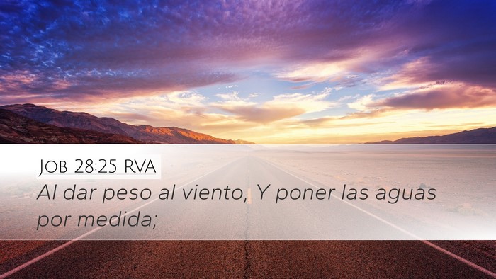 Job 28:25 RVA Bible Verse Image