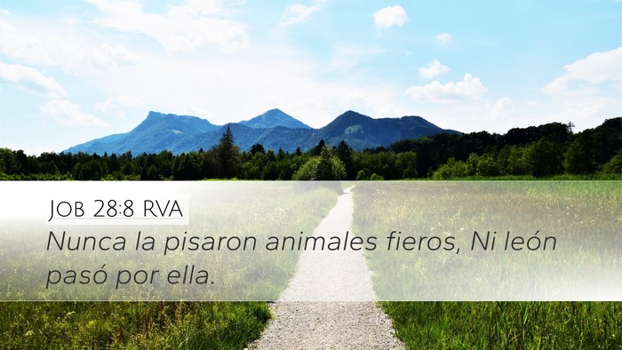 Job 28:8 RVA Desktop Wallpaper - Nunca la pisaron animales fieros, Ni león pasó - Desktop Bible Verse Wallpaper