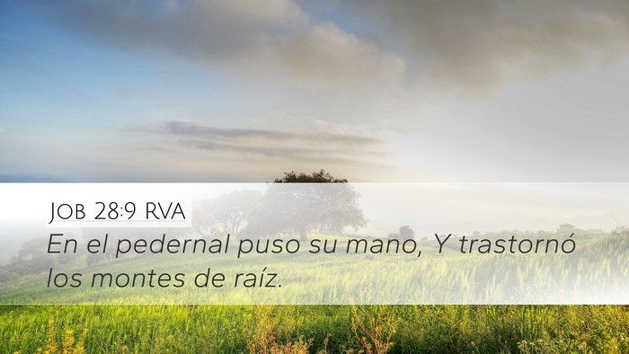 Job 28:9 RVA Desktop Wallpaper - En el pedernal puso su mano, Y trastornó los - Desktop Bible Verse Wallpaper
