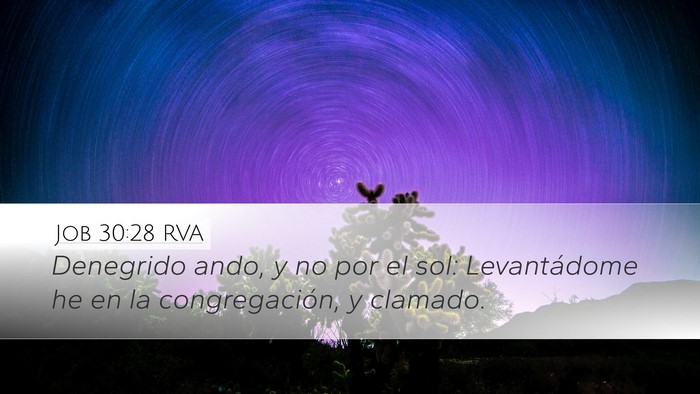 Job 30:28 RVA Bible Verse Image