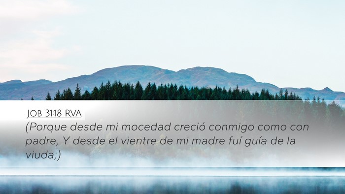 Job 31:18 RVA Bible Verse Image