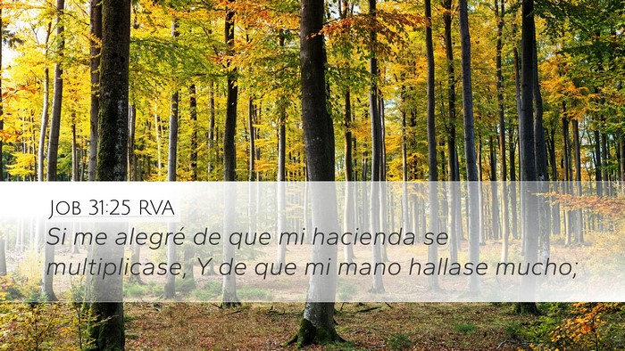 Job 31:25 RVA Bible Verse Image