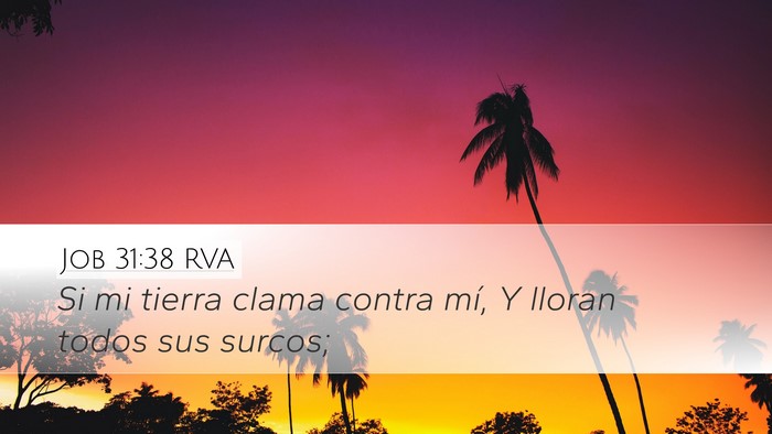 Job 31:38 RVA Bible Verse Image