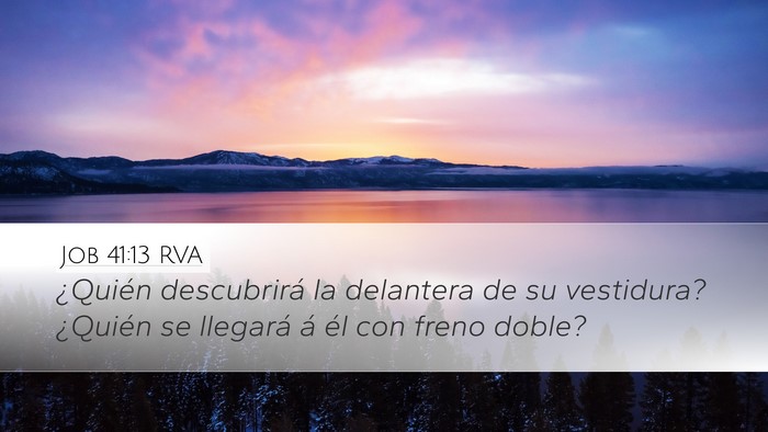 Job 41:13 RVA Desktop Wallpaper - ¿Quién descubrirá la delantera de su - Desktop Bible Verse Wallpaper