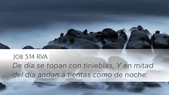 Job 5:14 RVA Bible Verse Image