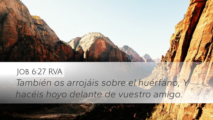 Job 6:27 RVA Bible Verse Image