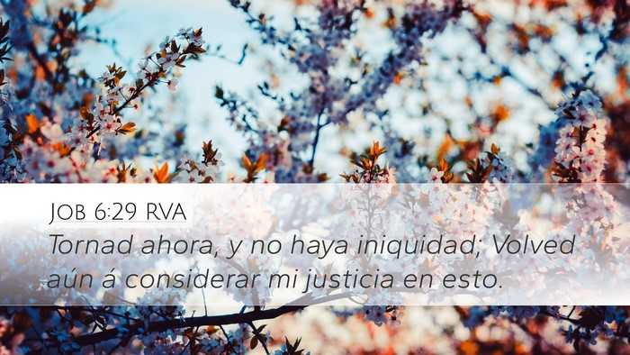 Job 6:29 RVA Bible Verse Image