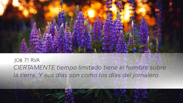 Job 7:1 RVA Bible Verse Image