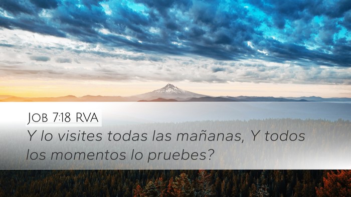 Job 7:18 RVA Desktop Wallpaper - Y lo visites todas las mañanas, Y todos los - Desktop Bible Verse Wallpaper