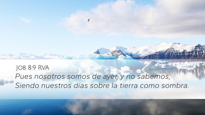 Job 8:9 RVA Bible Verse Image
