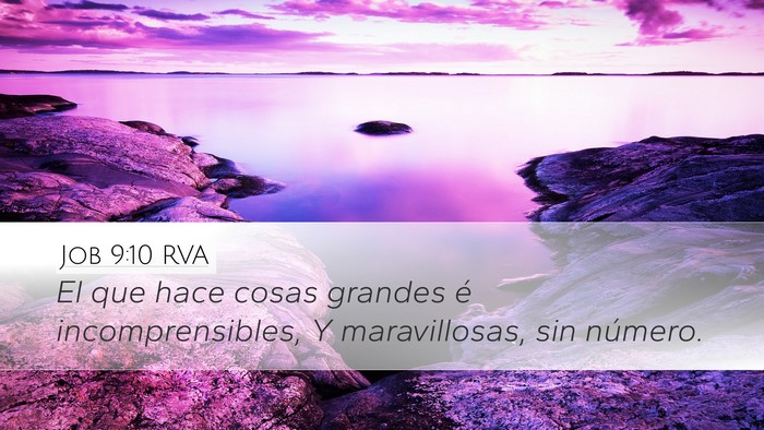 Job 9:10 RVA Bible Verse Image