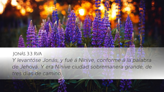 Jonás 3:3 RVA Bible Verse Image