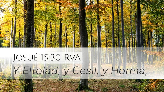 Josué 15:30 RVA Desktop Wallpaper - Y Eltolad, y Cesil, y - Desktop Bible Verse Wallpaper