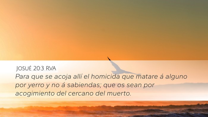 Josué 20:3 RVA Bible Verse Image