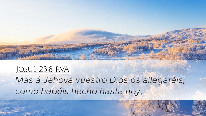 Josué 23:8 RVA Desktop Wallpaper - Mas á Jehová vuestro Dios os allegaréis, como - Desktop Bible Verse Wallpaper