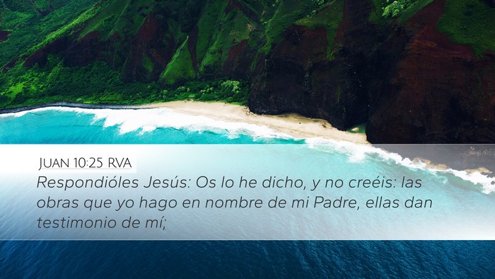 Juan 10:25 RVA Bible Verse Image