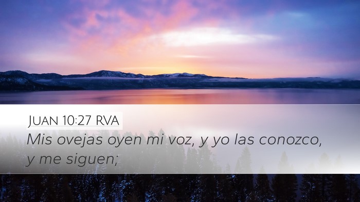 Juan 10:27 RVA Bible Verse Image
