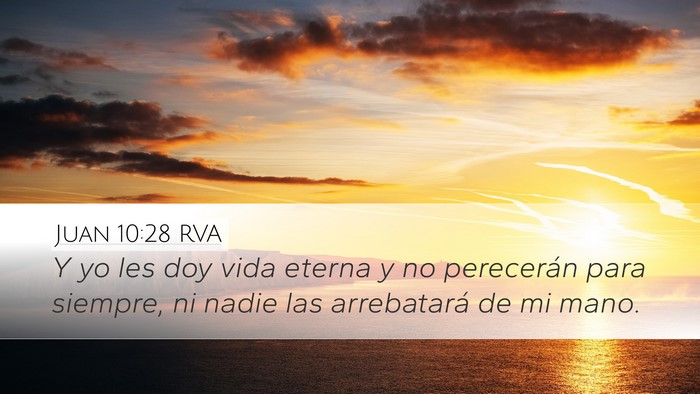 Juan 10:28 RVA Bible Verse Image