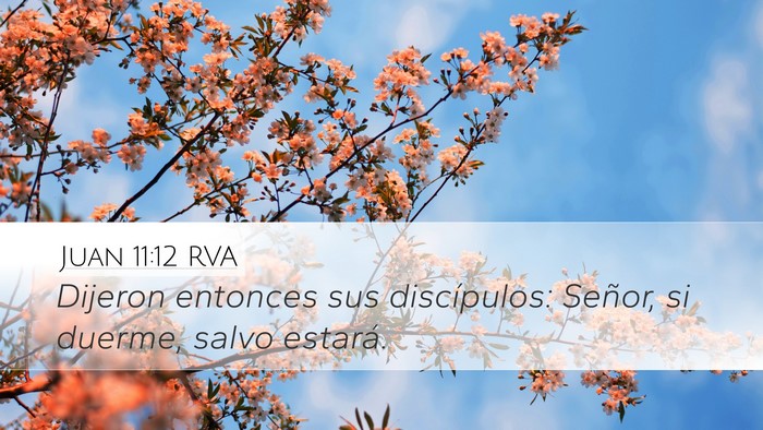Juan 11:12 RVA Desktop Wallpaper - Dijeron entonces sus discípulos: Señor, si - Desktop Bible Verse Wallpaper