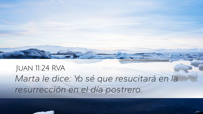 Juan 11:24 RVA Bible Verse Image