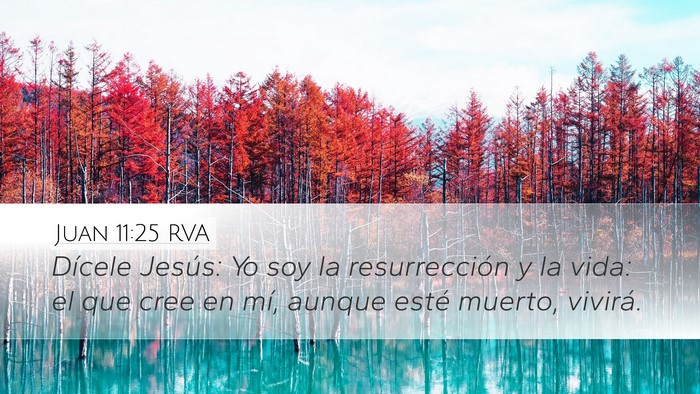 Juan 11:25 RVA Bible Verse Image