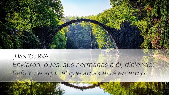 Juan 11:3 RVA Bible Verse Image
