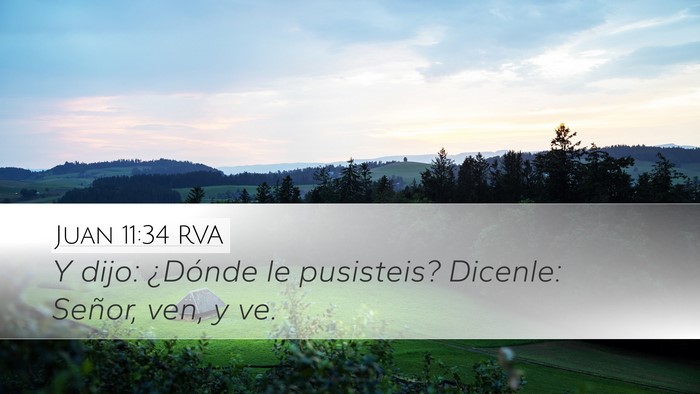 Juan 11:34 RVA Desktop Wallpaper - Y dijo: ¿Dónde le pusisteis? Dicenle: Señor, - Desktop Bible Verse Wallpaper