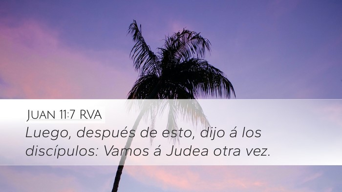 Juan 11:7 RVA Bible Verse Image
